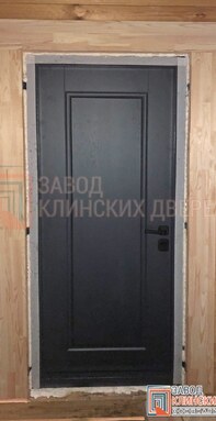 входная дверь для частного дома - фото внутри с глубокой центральной филенкой и отделкой мдф