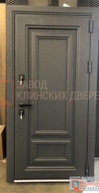 глухая однопольная входная дверь с металлическими филенками с порошковым напылением снаружи