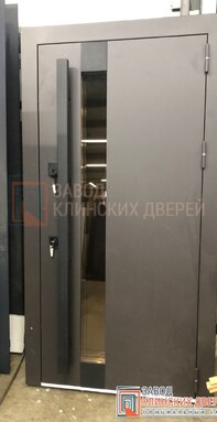 современная входная дверь с высоким вертикальным стеклом
